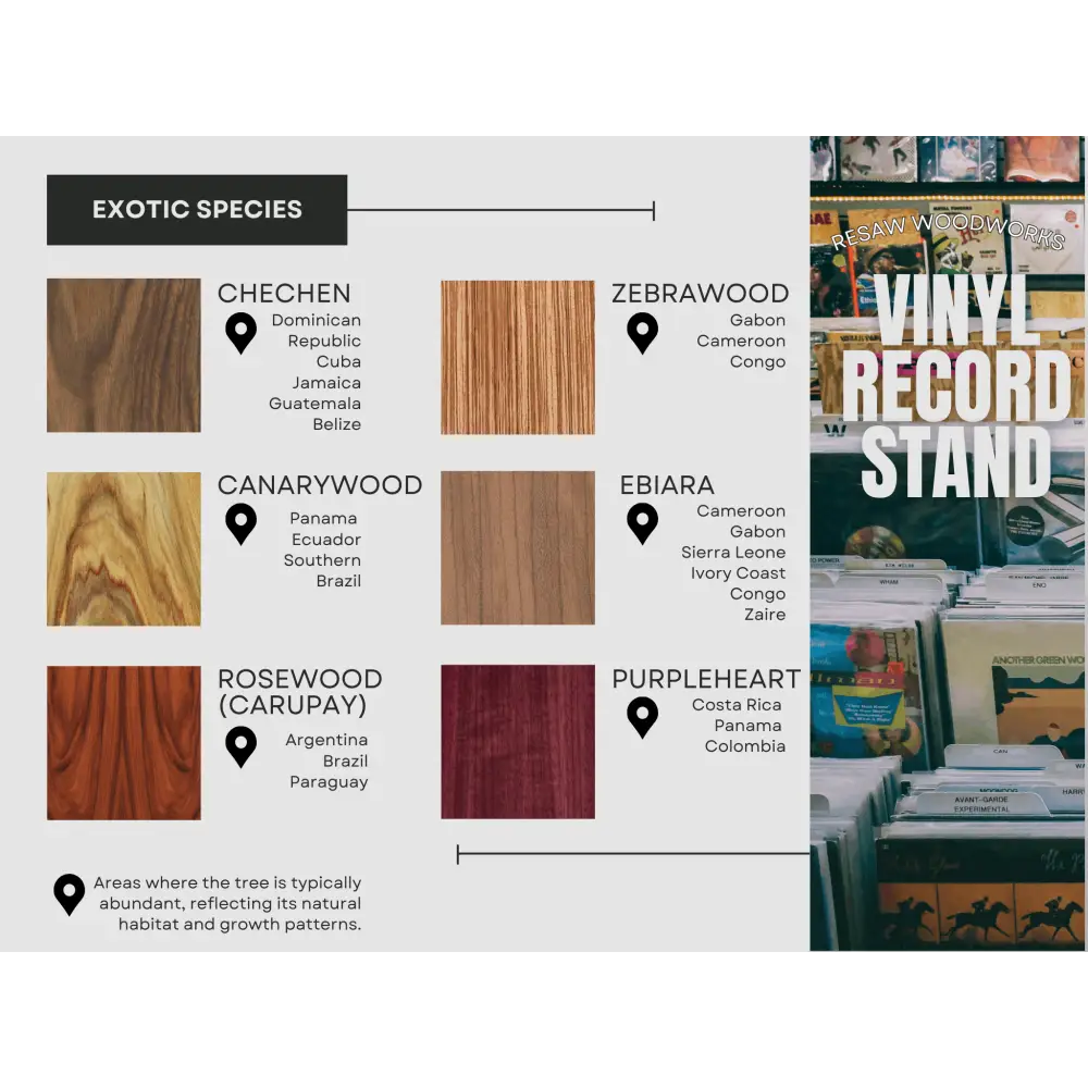 Handpick - Exotic Wood Vinyl Record Now Playing Stands - Exotic