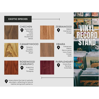 Handpick - Exotic Wood Vinyl Record Now Playing Stands - Exotic